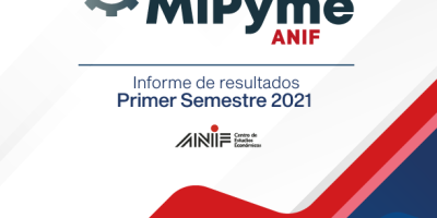 Encuesta Mipyme 2021 I