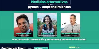 Medidas Alternaticas Pymes